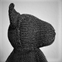 Knit fox